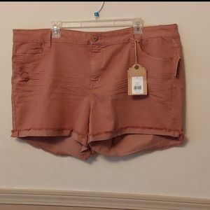 New True Craft mid rise curvy shorts Sz 20